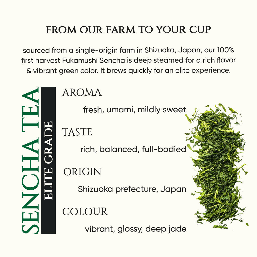 High Grade Sencha Tea | Elite Grade | Japanese Green Tea | Spring Harvest