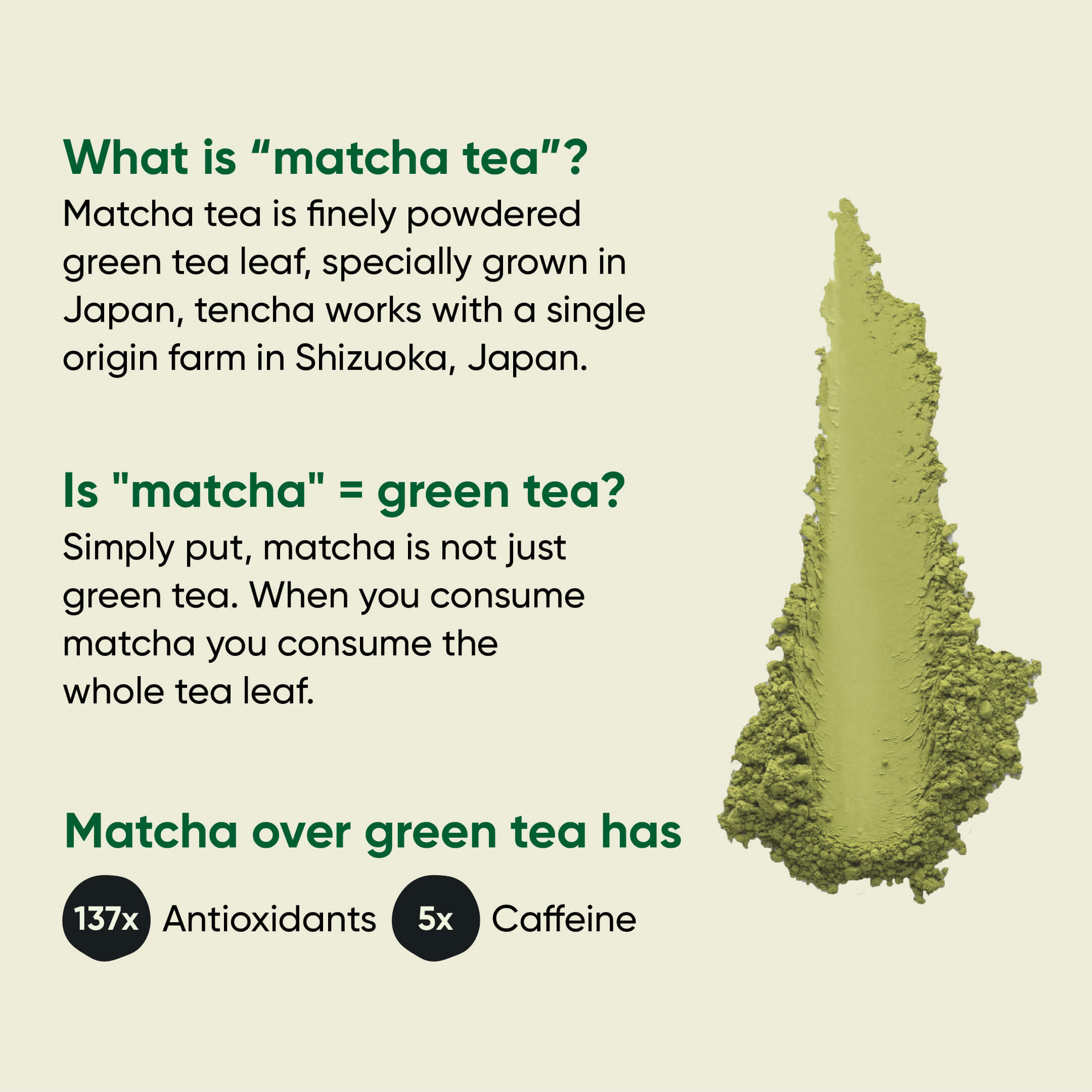 Vanilla Matcha | Japanese Green Tea Powder